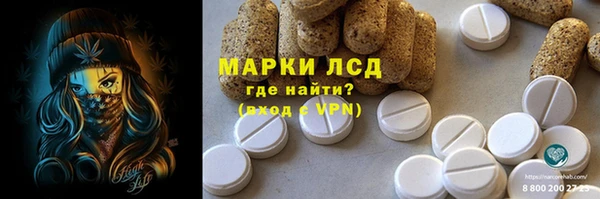 гидра Володарск