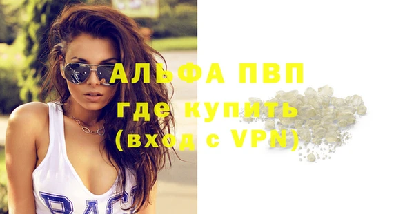 гидра Володарск