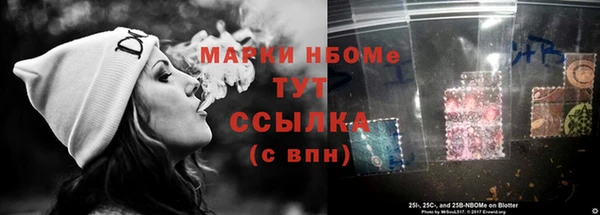 гидра Володарск