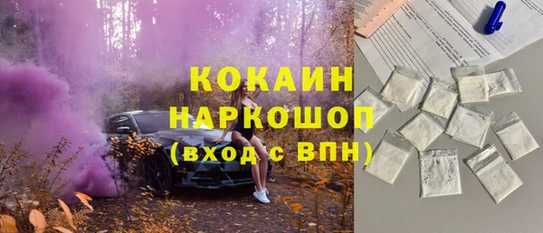 гидра Володарск